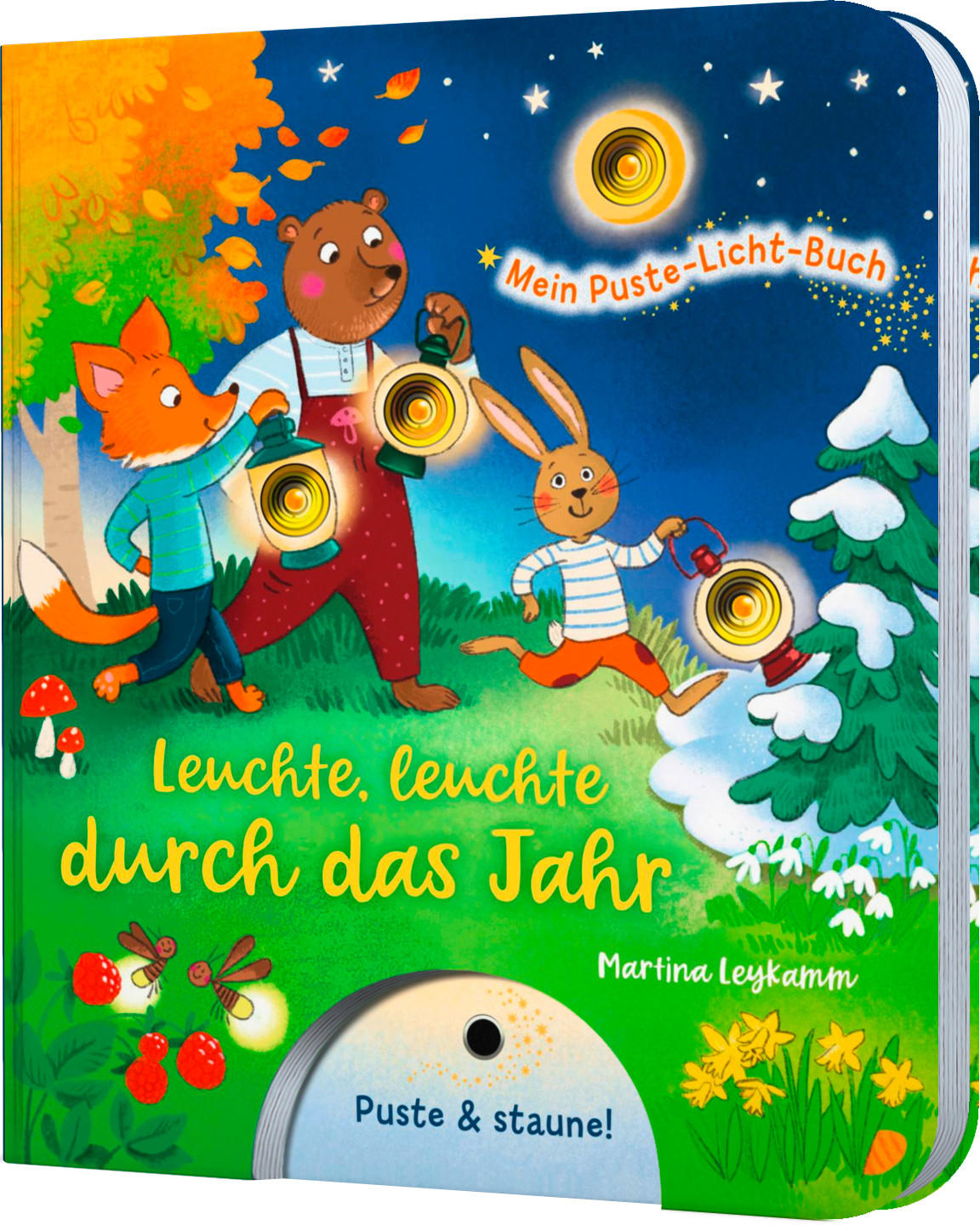 BUCH - Basics (19/22/1,6cm)