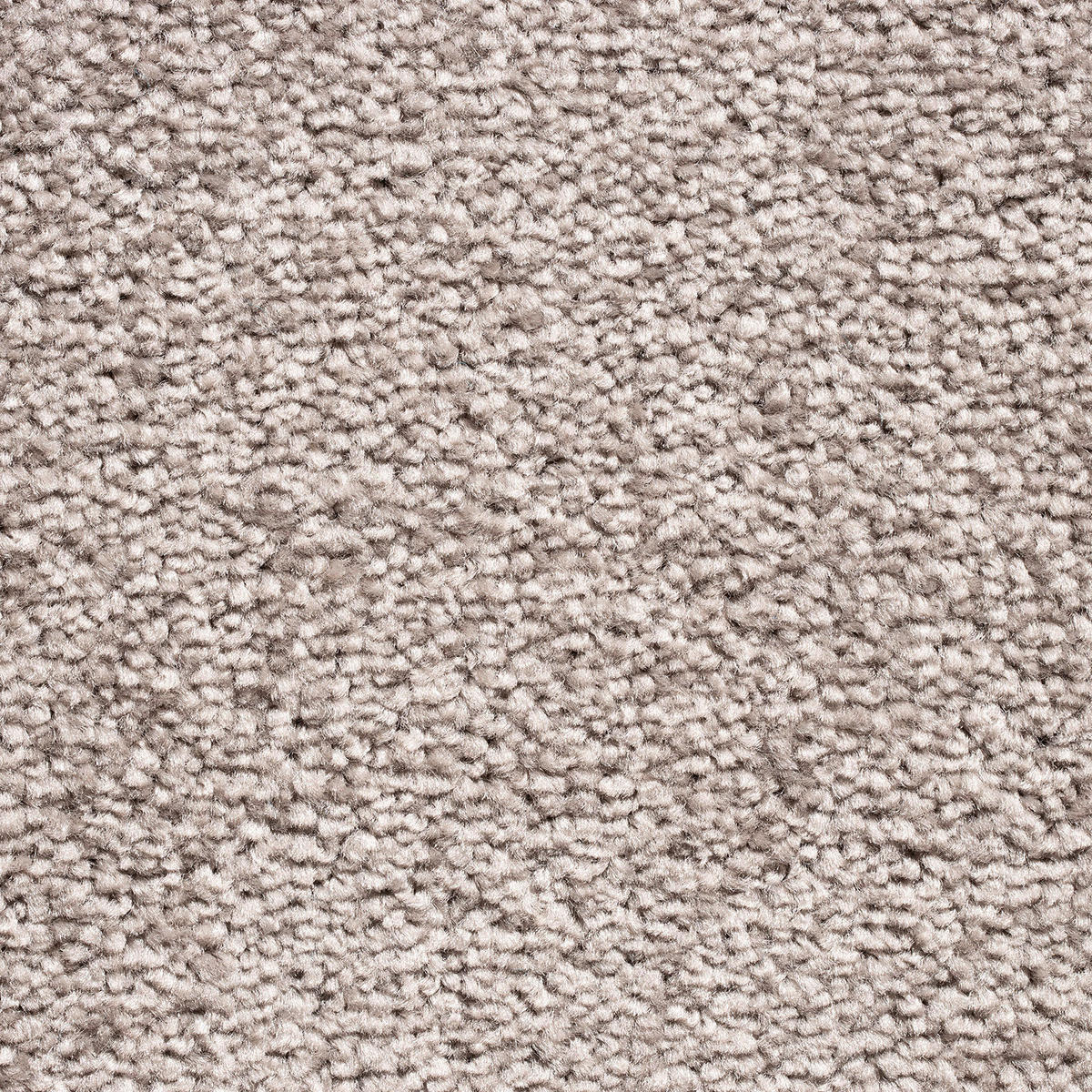 TEPPICHFLIESE 50/50 cm  in Cappuccino  - Cappuccino, Basics, Textil (50/50cm)