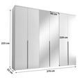 DREHTÜRENSCHRANK  in Graphitfarben  - Schwarz/Graphitfarben, MODERN, Glas/Holzwerkstoff (270/225/52cm) - Carryhome
