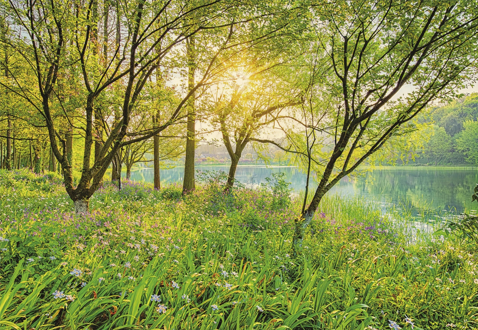 FOTOTAPETE Spring Lake  - Grün, Papier (368/254cm) - Komar