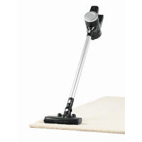 AKKU-BODENSTAUBSAUGER  - Silberfarben/Schwarz, Basics, Kunststoff (33/12/113cm)