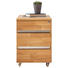 ROLLCONTAINER - Edelstahlfarben/Eichefarben, KONVENTIONELL, Holz/Metall (40/57/65cm) - Linea Natura ROLLCONTAINER - Edelstahlfarben/Eichefarben, KONVENTIONELL, Holz/Metall (40/57/65cm) - Linea Natura