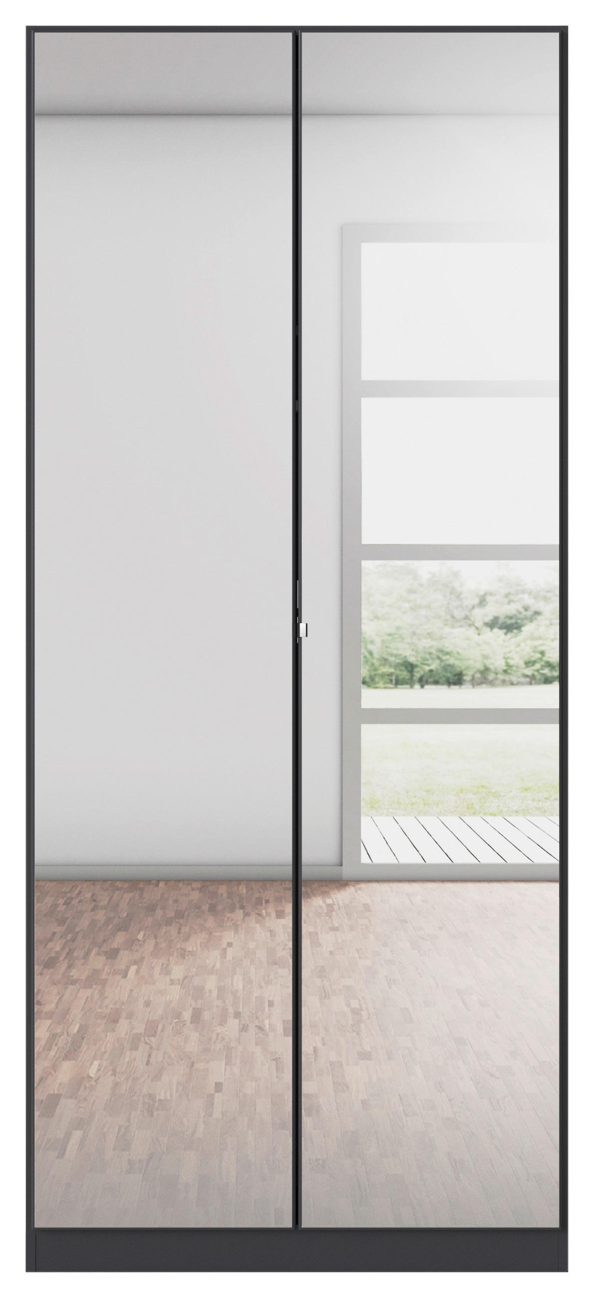 DREHTÜRENSCHRANK 91/210/54 cm 2-türig Graphitfarben  - Chromfarben/Graphitfarben, MODERN, Glas/Holzwerkstoff (91/210/54cm) - Rauch Möbel