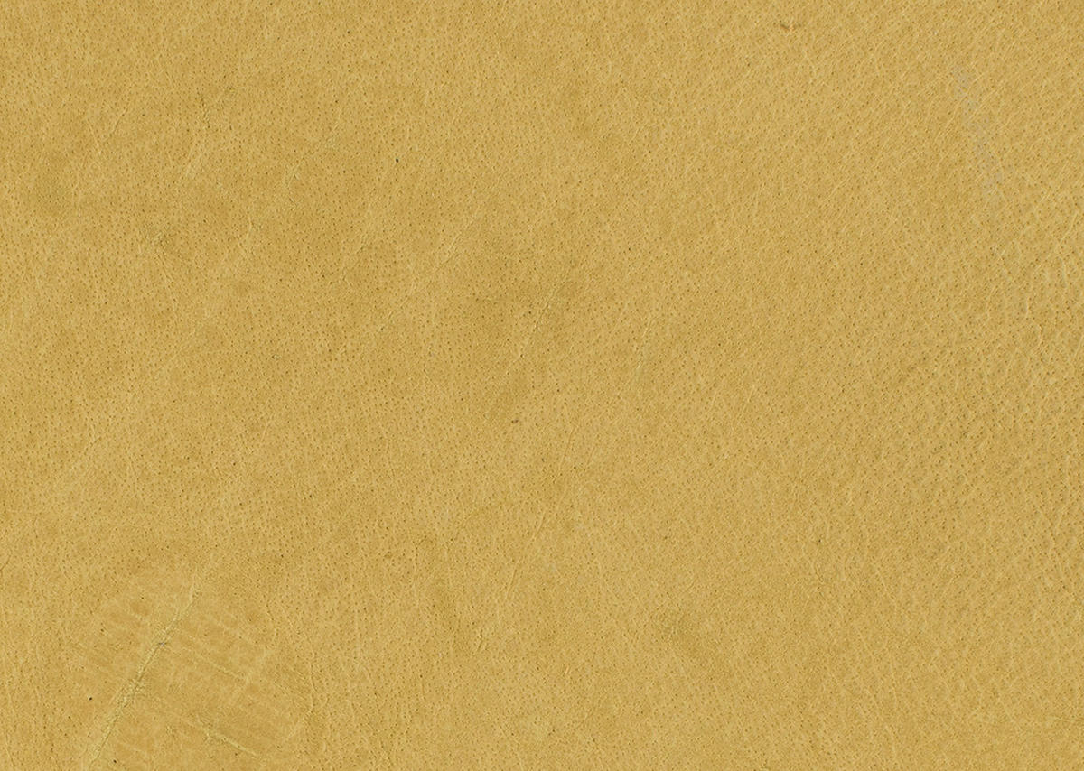 2-SITZER-SOFA in Echtleder Gelb  - Eichefarben/Gelb, Natur, Leder/Holz (240/63/115cm) - Koinor