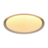 LED MENNYEZETI LÁMPA - áttetsző/fehér, Trend, műanyag/fém (50/9cm) - Novel