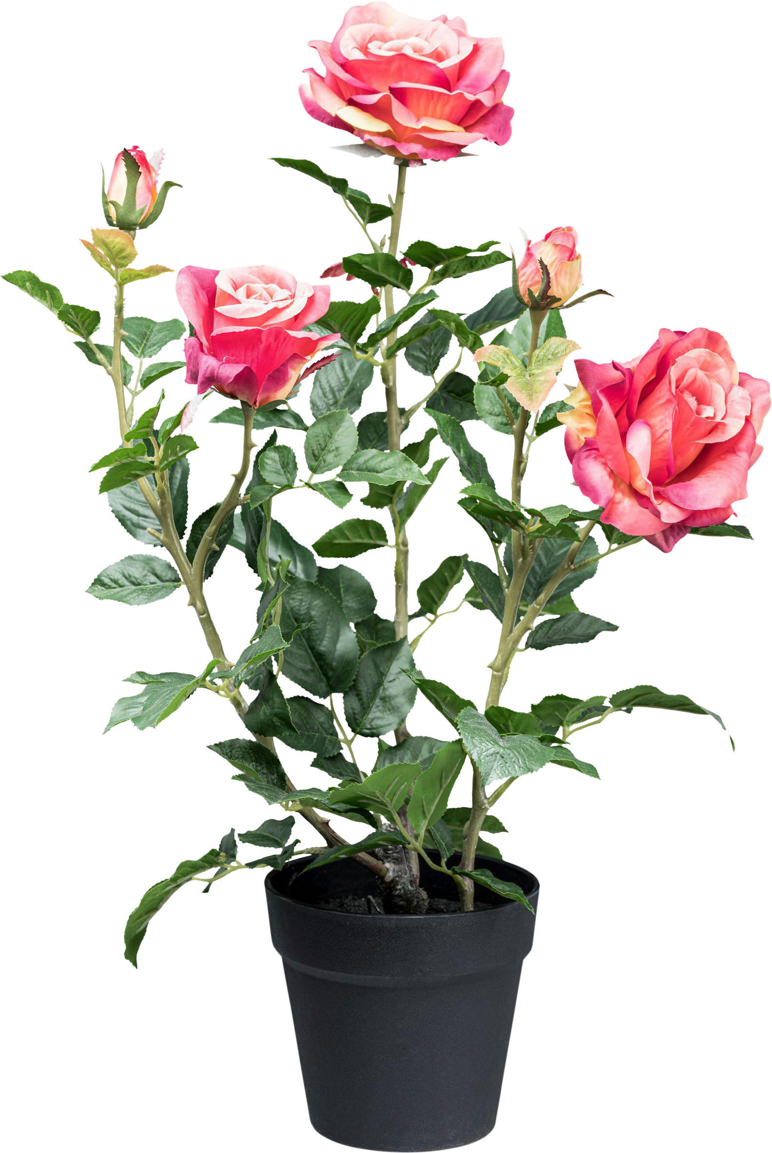 KUNSTPFLANZE Rose 58 cm  - Pink/Schwarz, Design, Kunststoff (58cm) - P & B