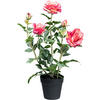 KUNSTPFLANZE Rose 58 cm  - Pink/Schwarz, Design, Kunststoff (58cm) - P & B