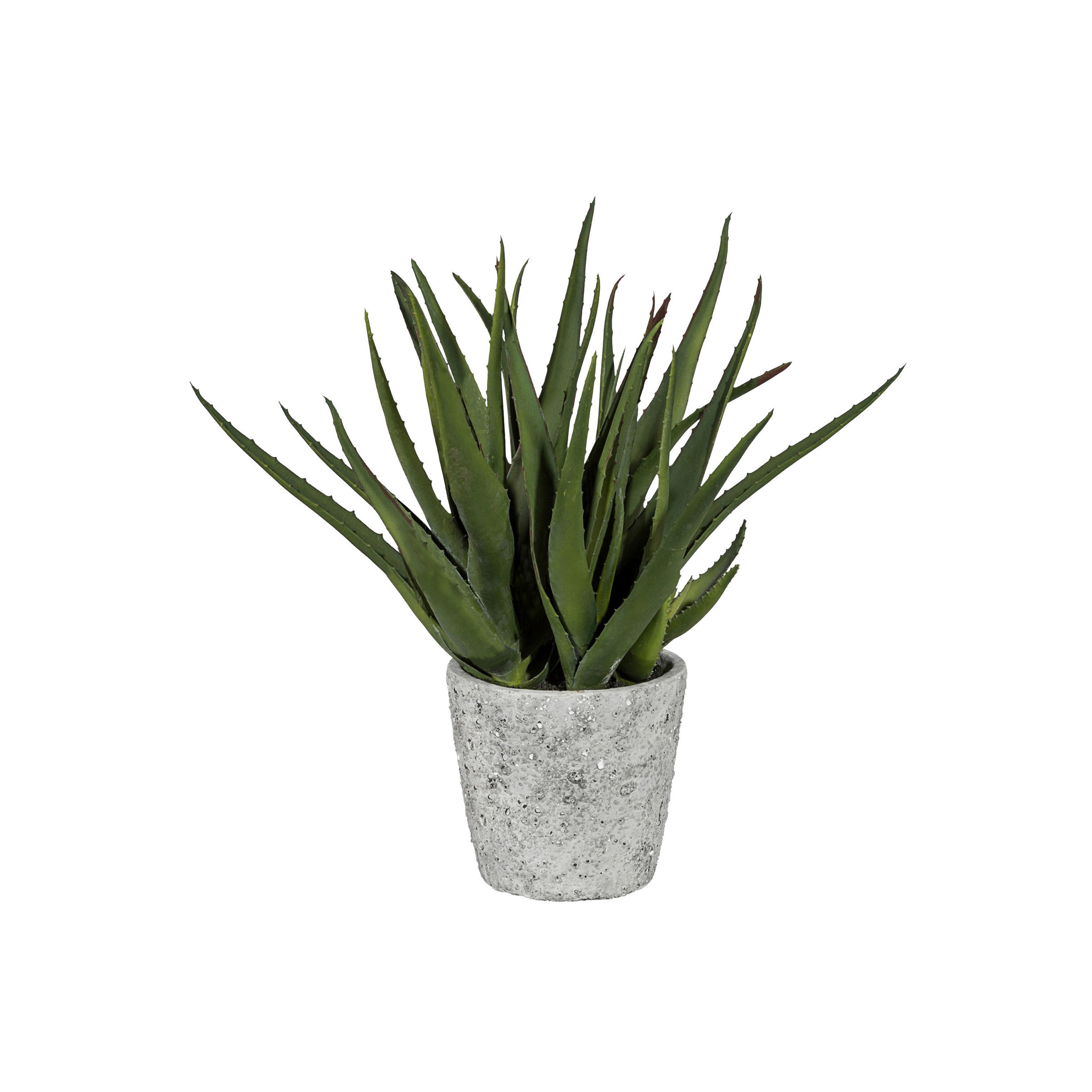 KUNSTPFLANZE Aloe Vera 44 cm - Grau/Grün, Design, Keramik/Kunststoff (44cm) - P & B