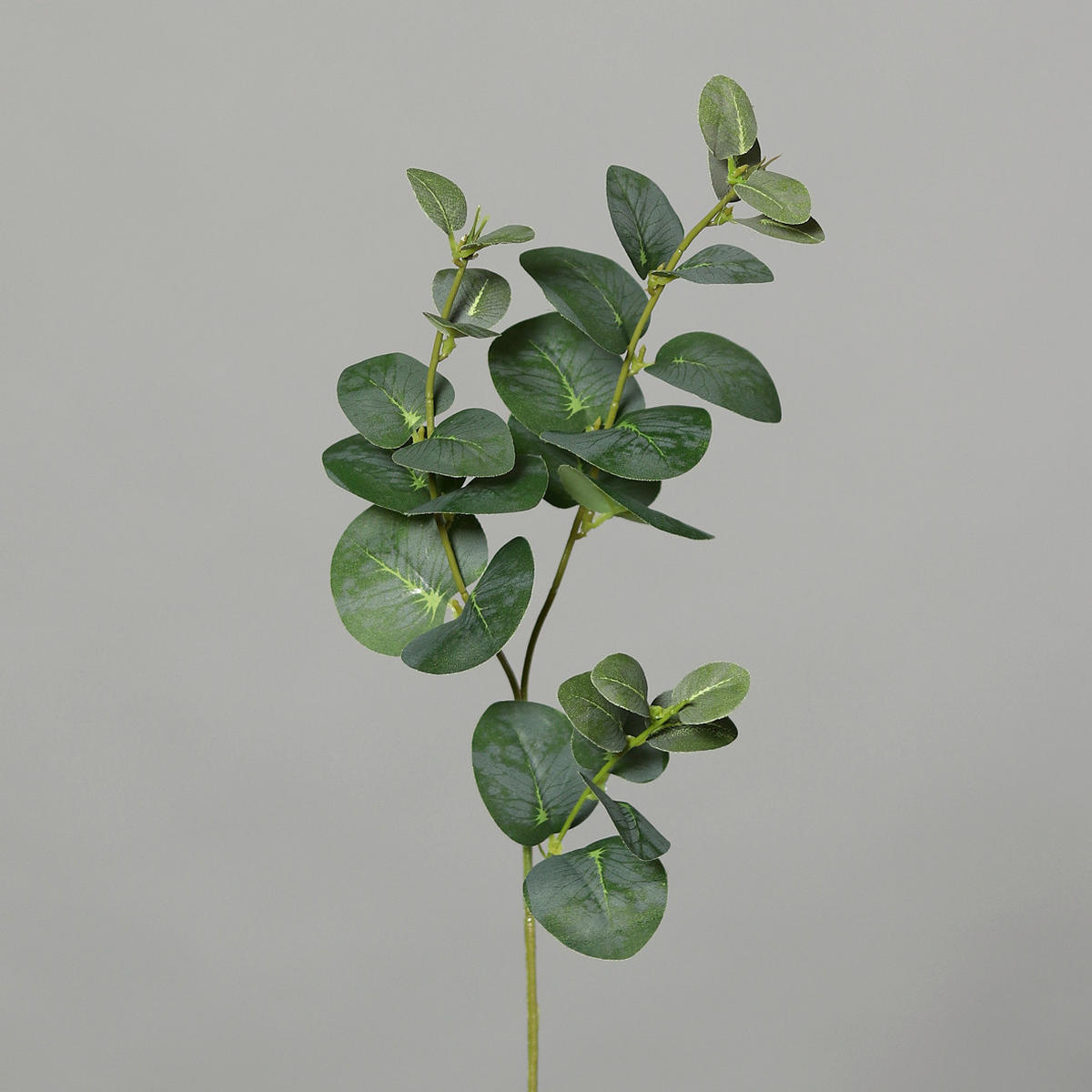 DEKOZWEIG - Basics, Kunststoff (64cm)