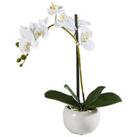 ORCHIDEE - Weiss/Silberfarben, Basics, Keramik/Kunststoff (45cm)