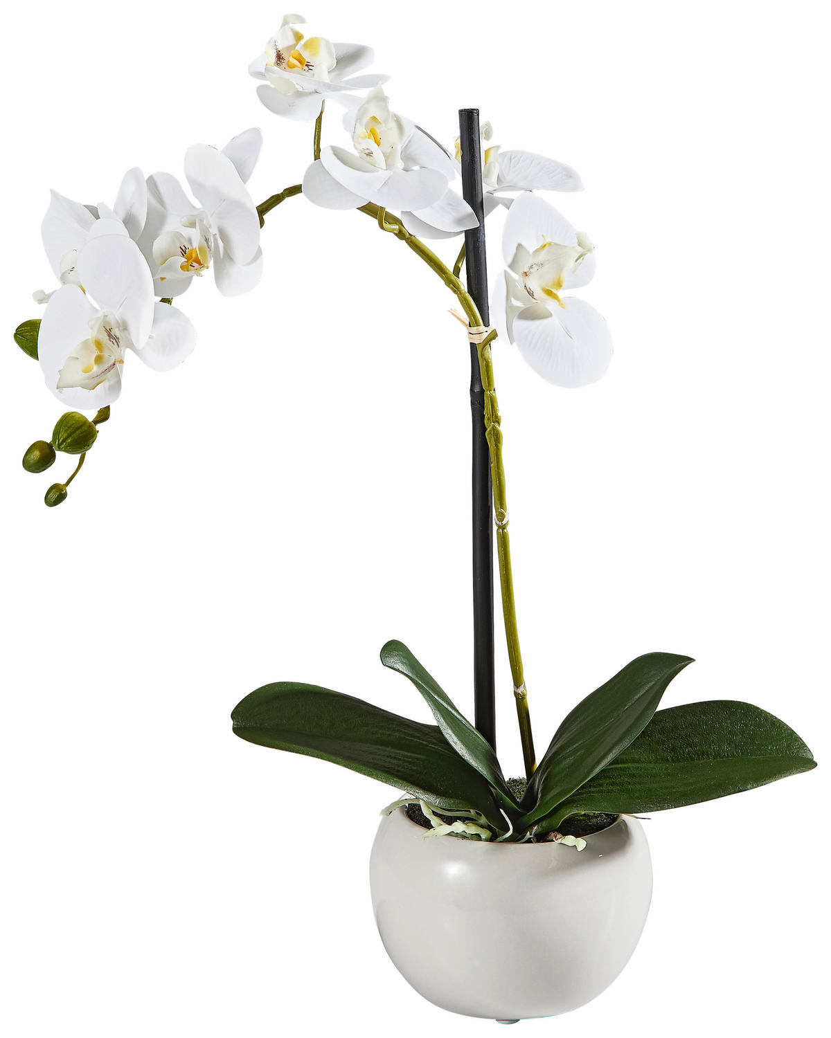 ORCHIDEE - Weiss/Silberfarben, Basics, Keramik/Kunststoff (45cm)