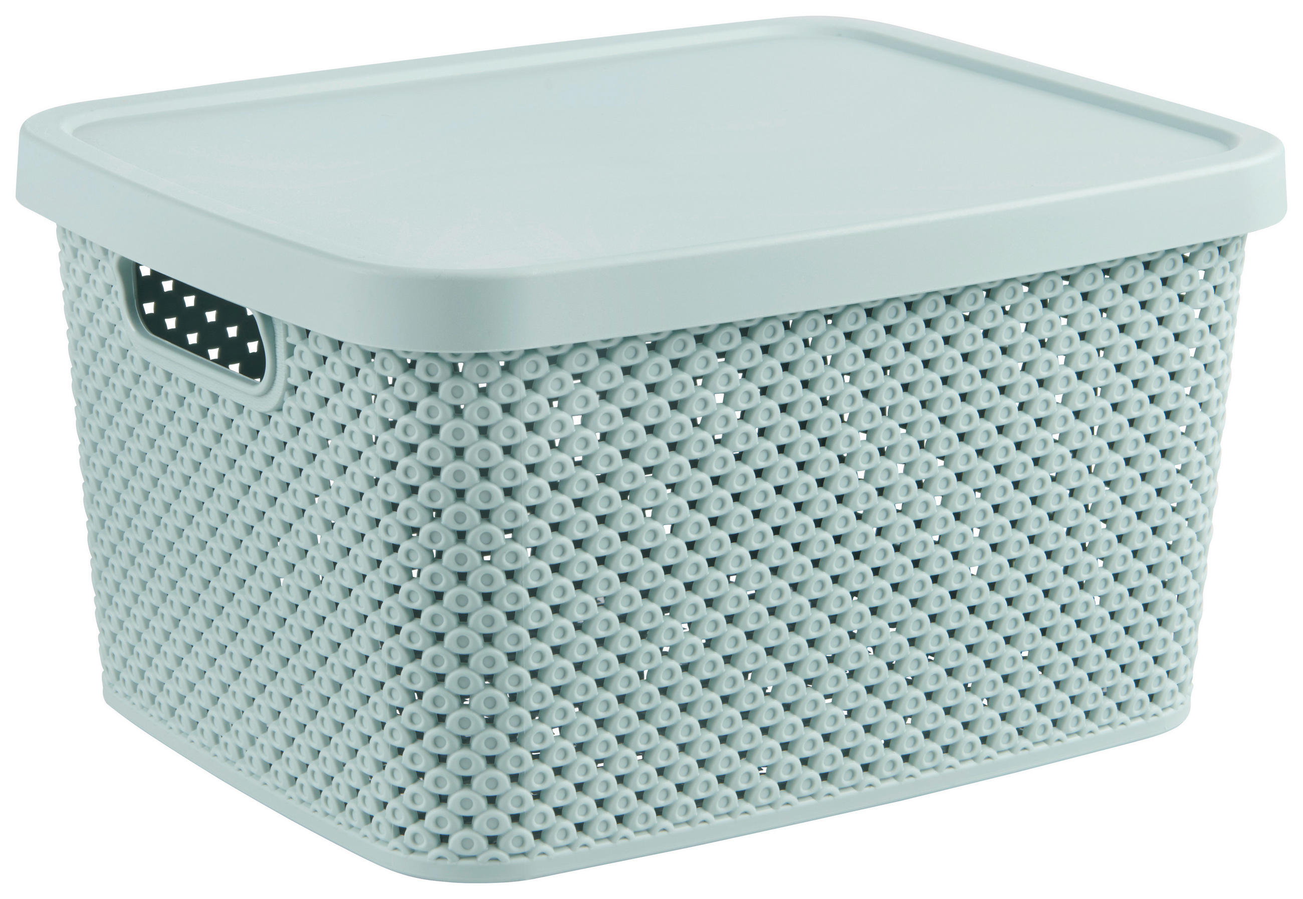 AUFBEWAHRUNGSBOX 22,4/27,7/15,1 cm  - Grün, Basics, Kunststoff (22,4/27,7/15,1cm) - Homeware