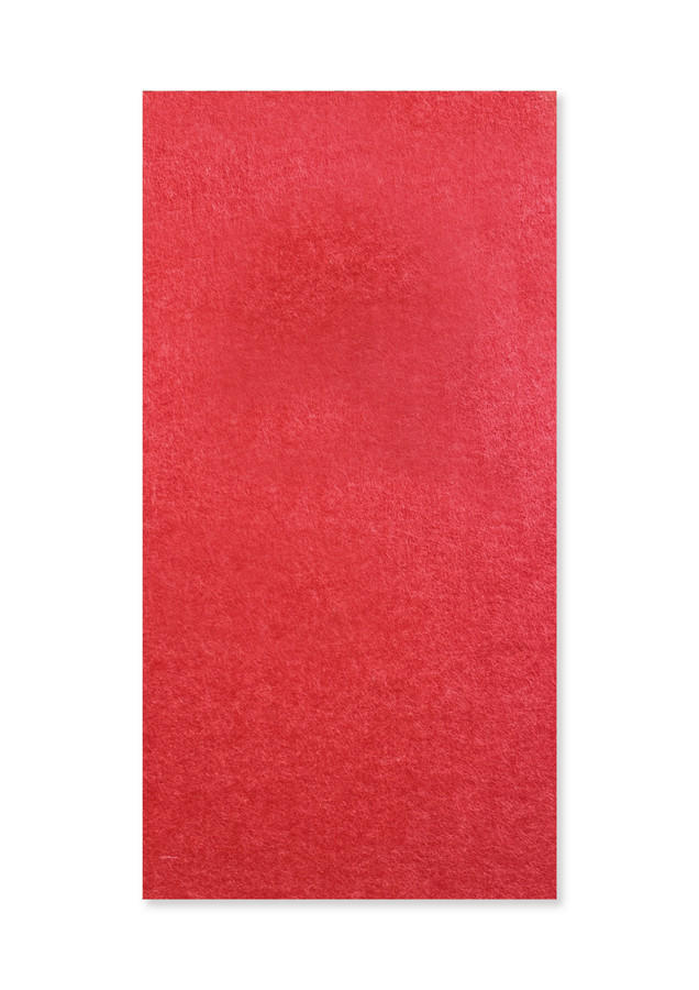 Jangal Akustikpaneel Modular Wall System rPet Rot 52x104x0.6 cm