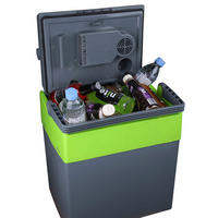 KÜHLBOX Grau 28 l  - Grau, Kunststoff (40/43,2/30cm) - Nabo