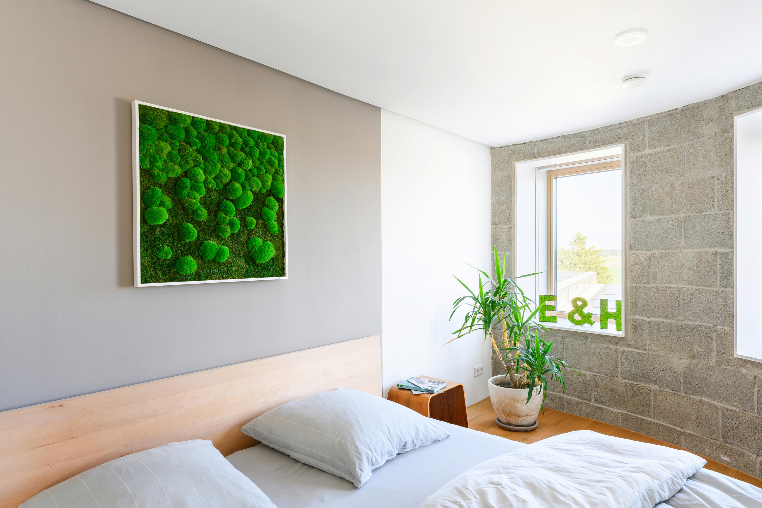 MOOSBILD Stylegreen  - Weiß/Grün, Basics, Naturmaterialien/Holz (80/80/7cm)