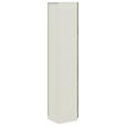 AKTENSCHRANK Anthrazit, Weiß  - Anthrazit/Weiß, KONVENTIONELL, Holzwerkstoff (40/220,5/41,9cm) - Moderano