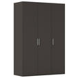 DREHTÜRENSCHRANK  in Graphitfarben  - Edelstahlfarben/Graphitfarben, Basics, Holzwerkstoff/Metall (151/235/61cm) - Novel