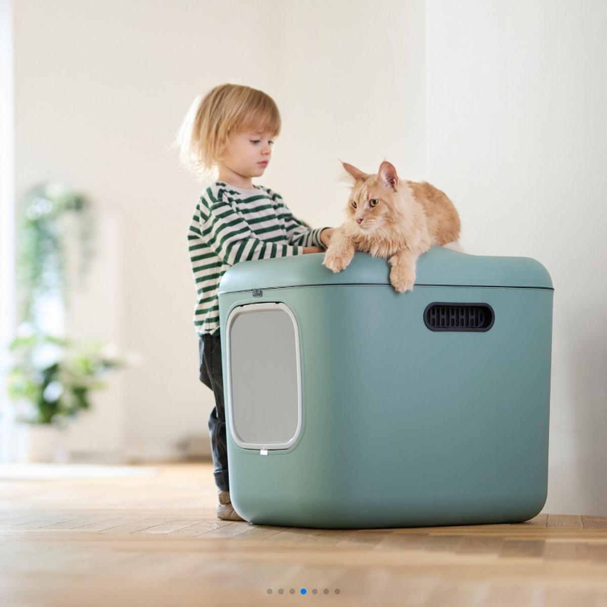 KATZENTOILETTE - Salbeigrün, Basics, Kunststoff (49,9/57,6/61,4cm) - Rotho