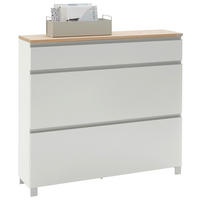 SCHUHSCHRANK Dieter Knoll  in 120/108/31 cm  - Eichefarben/Silberfarben, Design, Holz/Holzwerkstoff (120/108/31cm) - Dieter Knoll