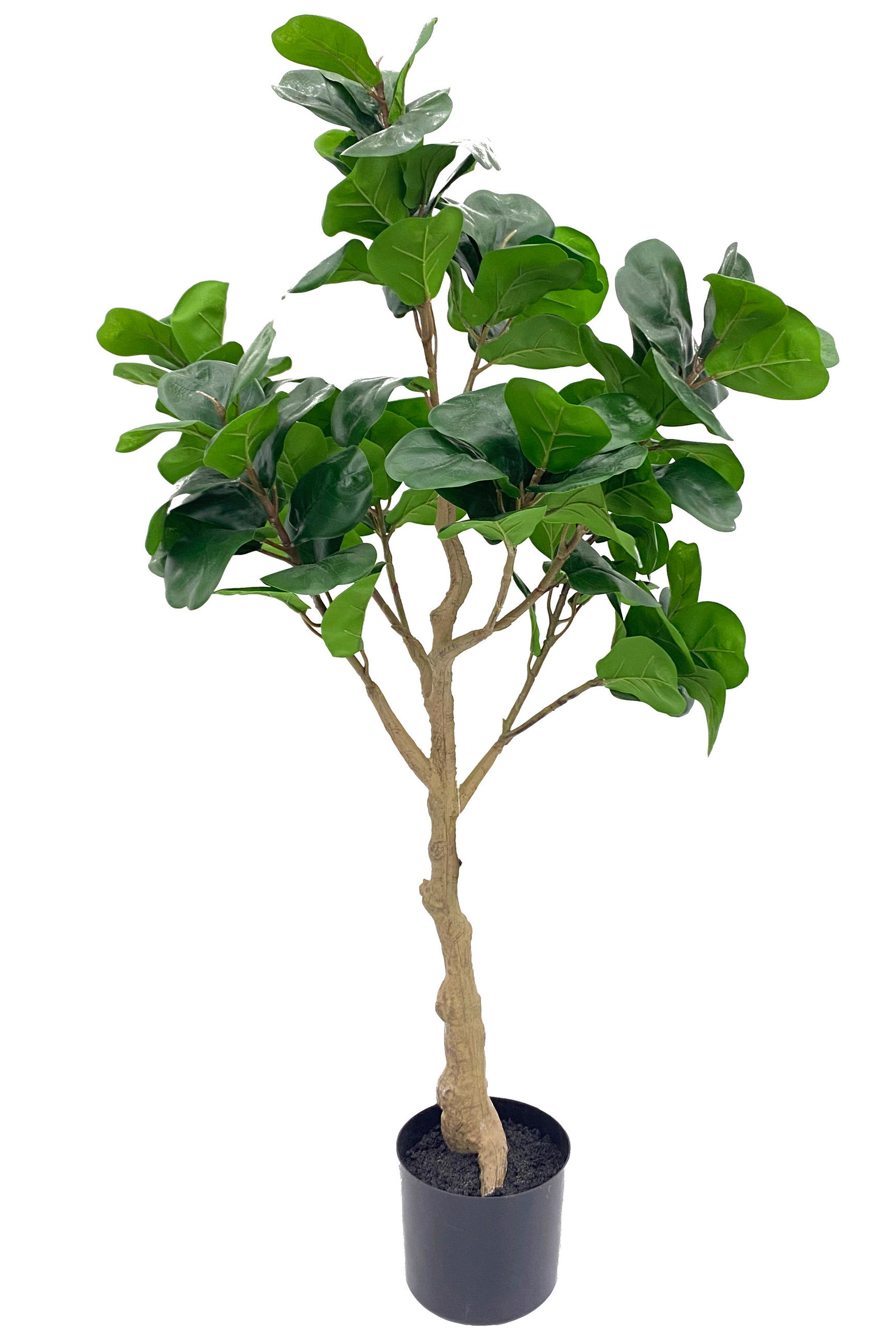 Ambia Home UMĚLÁ ROSTLINA fikus benjamín 104 cm