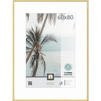 RÁM NA OBRAZY, 1 foto 60 cm x 80 cm - barvy zlata, Basics, plast/sklo (81,1/61,1cm)