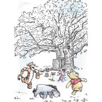 KINDERBILD - Schwarz, Basics, Papier (40/50cm) - Disney