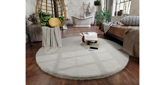 HOCHFLORTEPPICH 160 cm Nuvola - Exklusiv Hellgrau - Hellgrau, Basics, Textil (160cm) - Novel