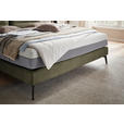BOXSPRINGBETT 180/200 cm  in Grün  - Schwarz/Grün, Design, Textil/Metall (180/200cm) - Johann Jakob