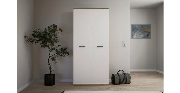 SCHUHSCHRANK 90/195/35 cm  - Silberfarben/Schwarz, Basics, Holzwerkstoff/Kunststoff (90/195/35cm) - Xora