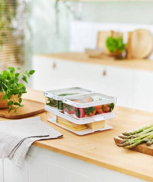 KÜHLSCHRANKBOX CAUMA  - Klar/Weiß, Basics, Kunststoff (28,2/18,4/3,1cm) - Rotho