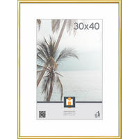 BILDERRAHMEN - Goldfarben, Basics, Glas/Kunststoff (30/40cm)