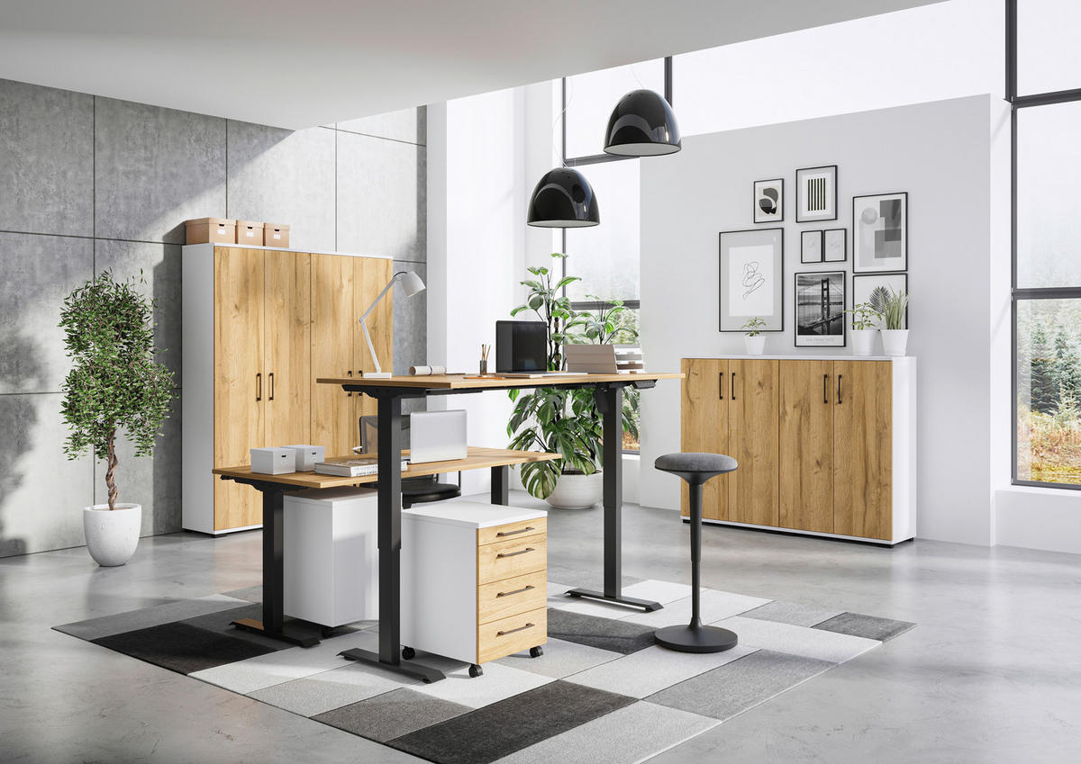 AKTENSCHRANK Weiß, Eichefarben  - Eichefarben/Weiß, MODERN, Holzwerkstoff (80/123/40cm) - Germania