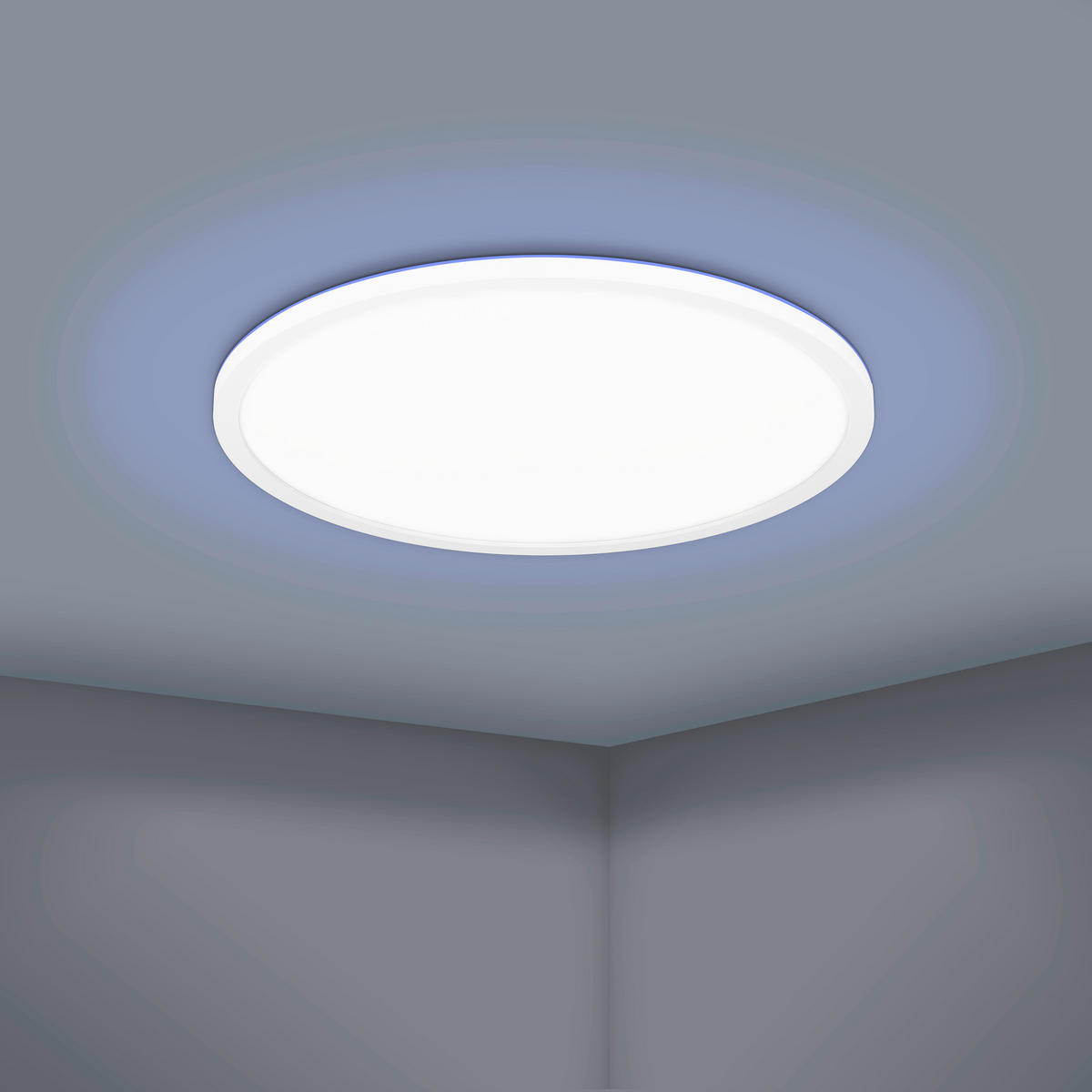 STROPNÍ LED SVÍTIDLO, 42/2,5 cm  - bílá, Basics, plast (42/2,5cm)