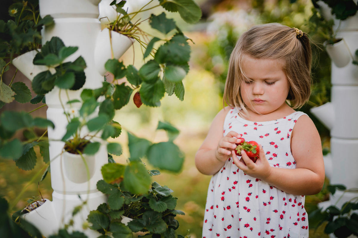 PFLANZENTOPF  SISSI STRAWBERRY  - Weiß, Basics, Kunststoff (32/77cm) - Gusta Garden