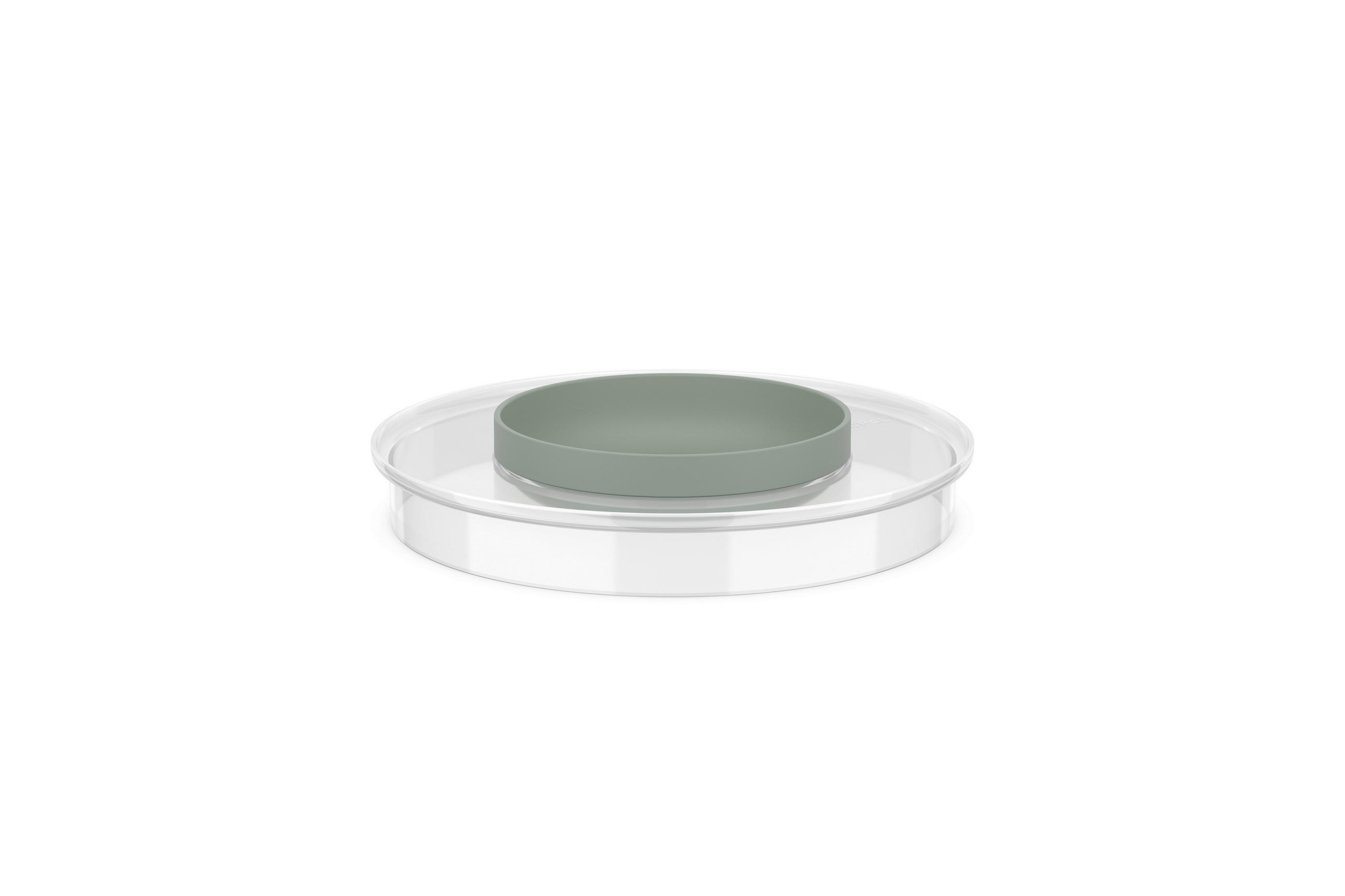OCHRANNÉ SÍTO PROTI PRSKÁNÍ - šalvějově zelená/průhledné, Konvenční, plast (22,3cm) - Mepal