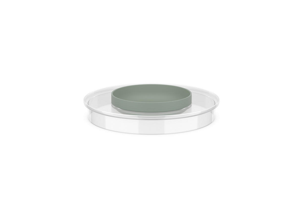 OCHRANNÉ SÍTO PROTI PRSKÁNÍ - šalvějově zelená/průhledné, Konvenční, plast (22,3cm) - Mepal