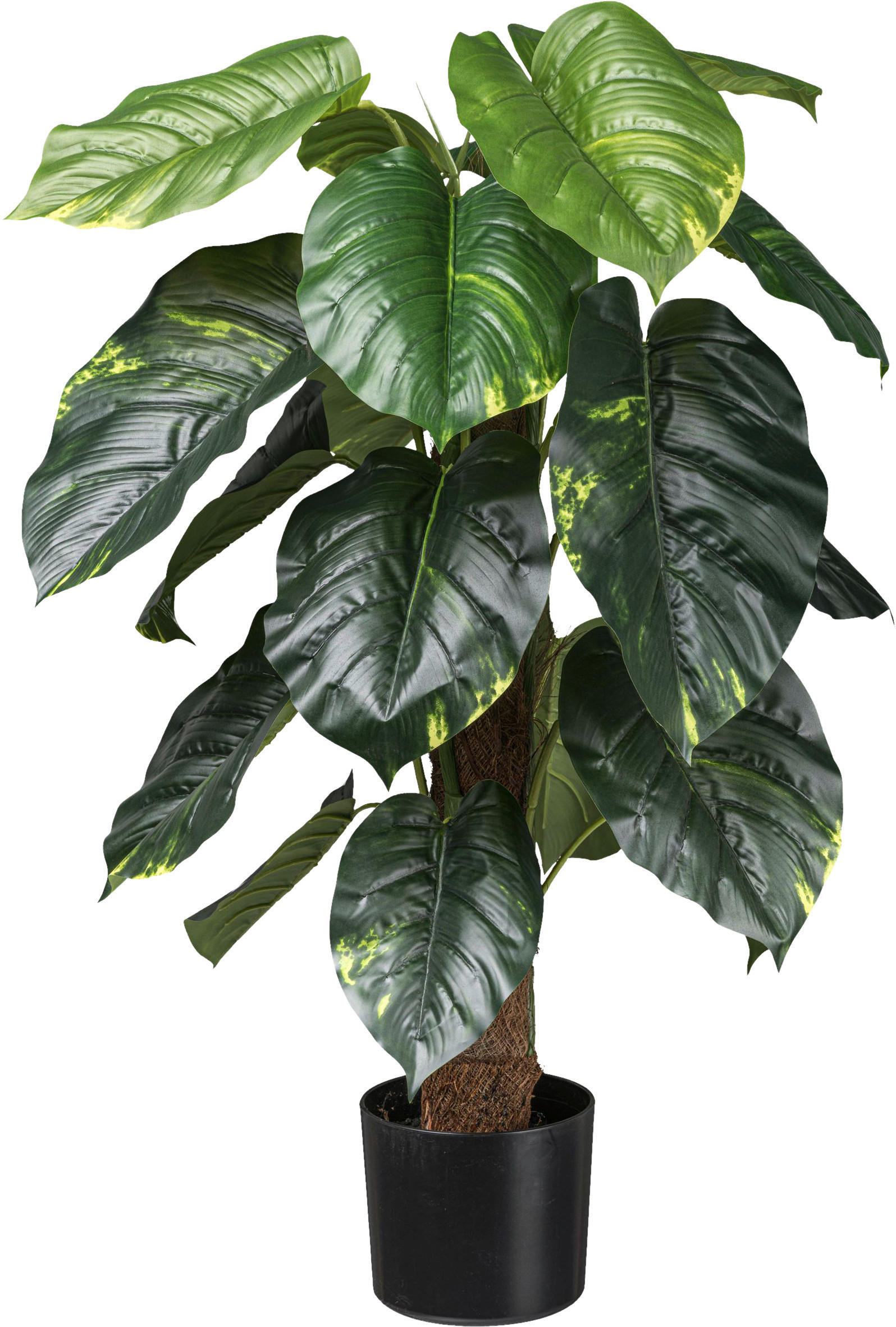 KUNSTPFLANZE Philodendron 90 cm  - Schwarz/Braun, Design, Naturmaterialien/Kunststoff (90cm) - P & B