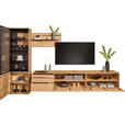 WOHNWAND  in Schwarz, Eichefarben  320/192/50 cm  LED-COB-Leuchtmittel, Dekoleuchtmittel   - Eichefarben/Schwarz, Natur, Glas/Holz (320/192/50cm) - Waldwelt