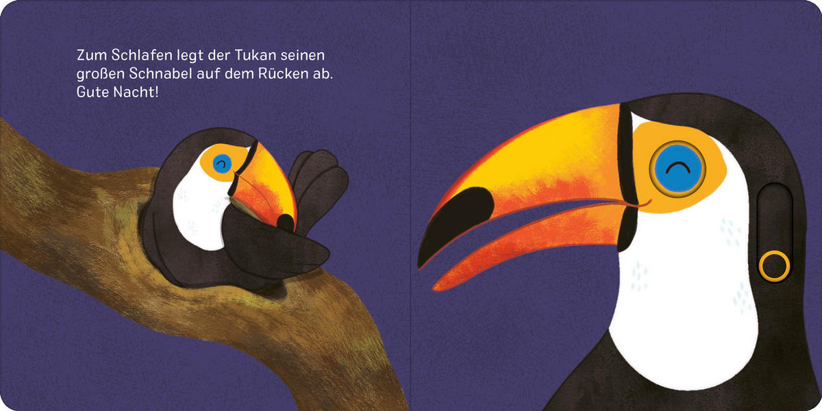 BUCH Augen zu und träum schön!  - Multicolor, Basics, Papier (17,5/17,5/1.2cm)
