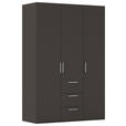 DREHTÜRENSCHRANK 151/235/61 cm,  in Graphitfarben, 3-türig  - Edelstahlfarben/Graphitfarben, Basics, Holzwerkstoff/Metall (151/235/61cm) - Novel