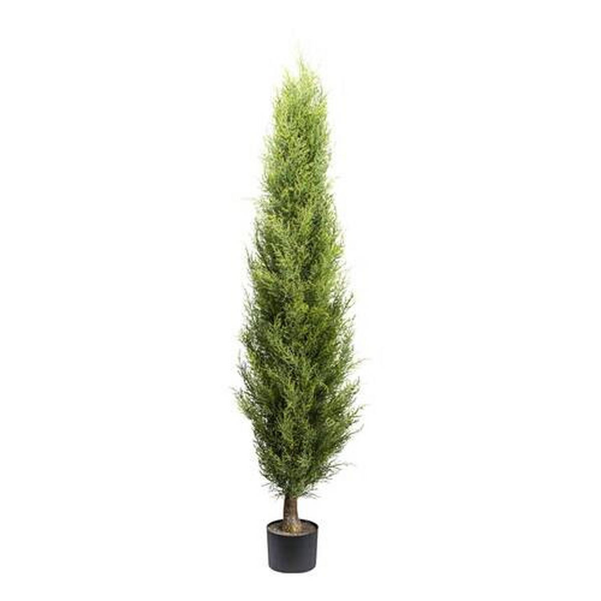 KUNSTPFLANZE Thuja 150 cm  - Schwarz/Braun, Basics, Kunststoff (150cm)