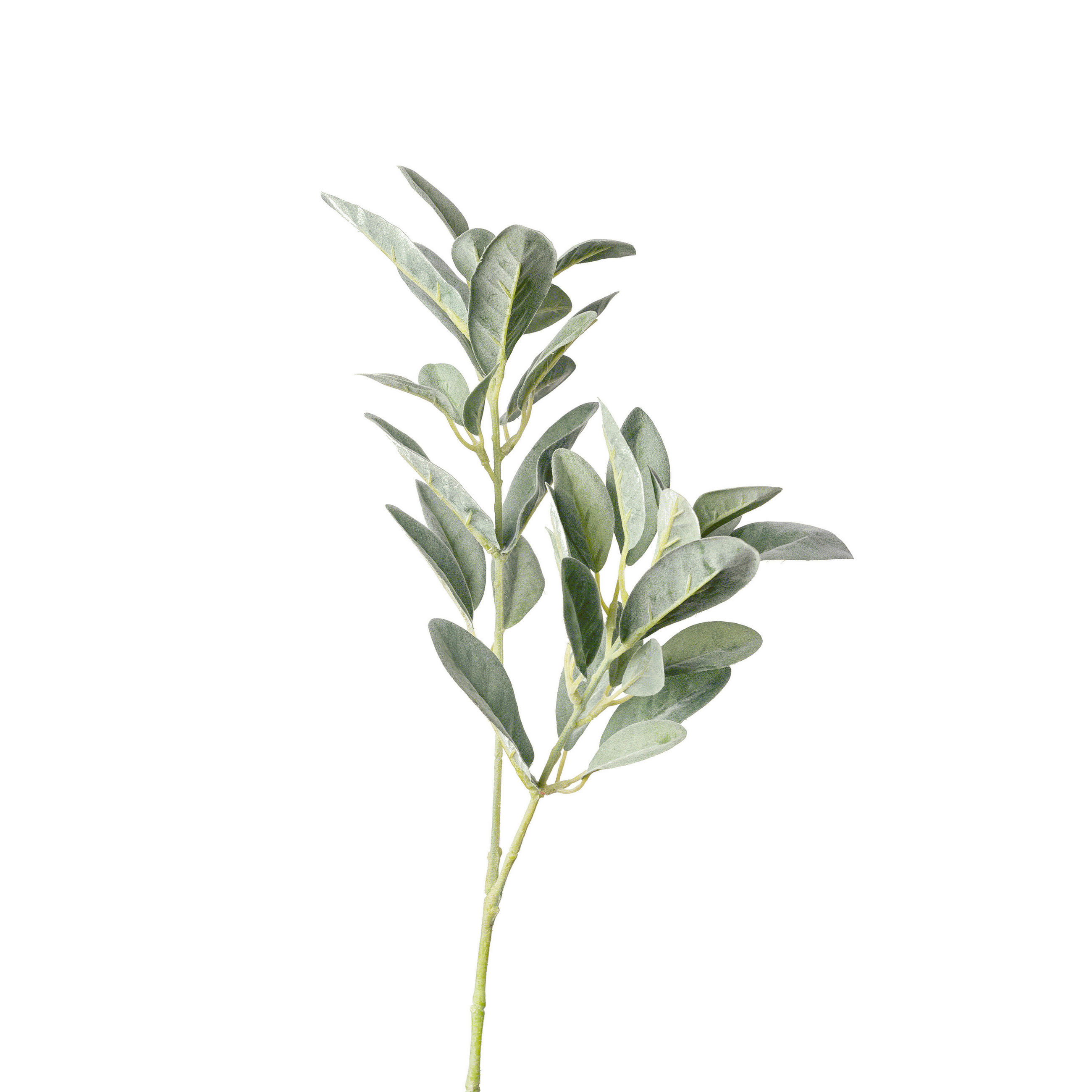 DEKOZWEIG  - Grün, Basics, Kunststoff (75cm)