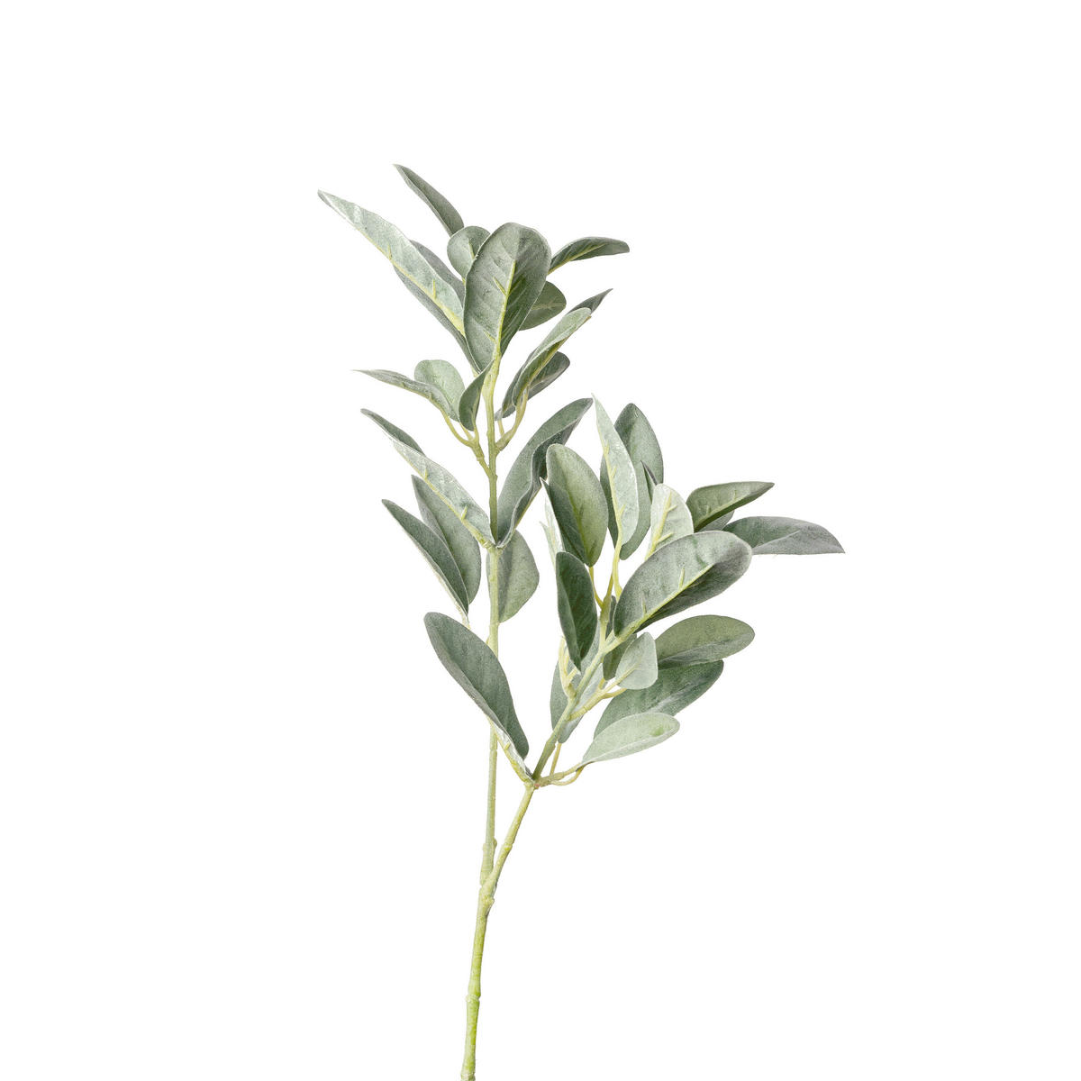 DEKOZWEIG  - Grün, Basics, Kunststoff (75cm)