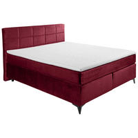 BOXSPRINGBETT 180/200 cm  in Bordeaux  - Bordeaux/Schwarz, Design, Holzwerkstoff/Kunststoff (180/200cm) - Xora