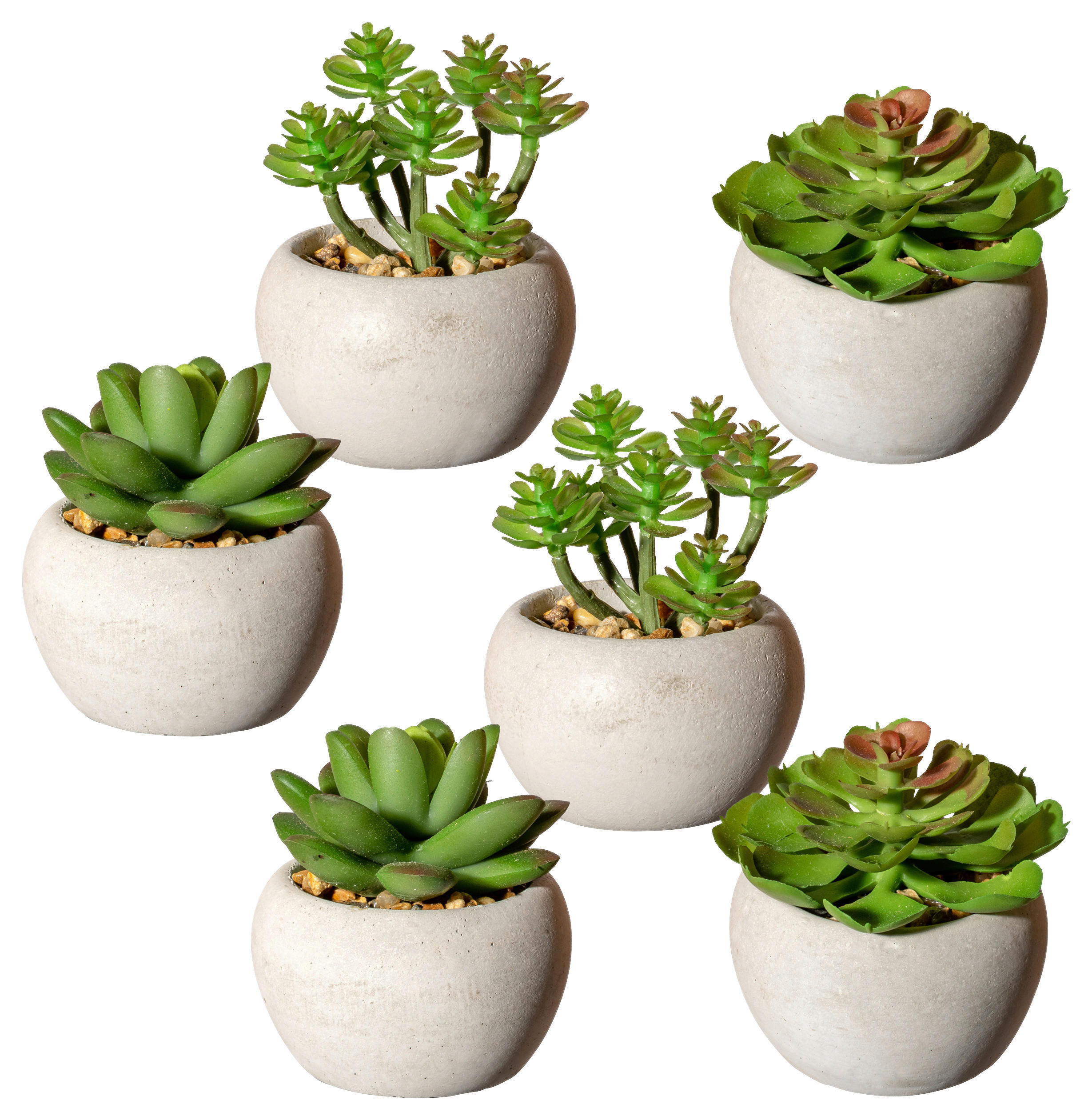 KUNSTPFLANZE Sukkulente 6 cm - Grau/Grün, Design, Keramik/Kunststoff (6cm) - P & B
