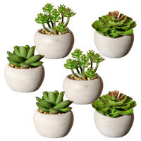 KUNSTPFLANZE Sukkulente 6 cm  - Grau/Grün, Design, Keramik/Kunststoff (6cm) - P & B