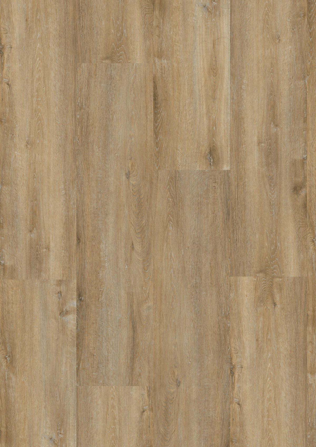 DESIGNBODEN Sensano Eiche Saale 100009101  per  m² - Design, Holzwerkstoff (121/28,8/0,85cm) - Tilo