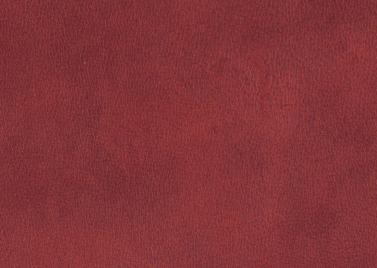 RELAXSESSEL Echtleder Fußteilverstellung, Kopfteilverstellung    - Anthrazit/Rot, Design, Leder/Metall (74/84/113cm) - Himolla