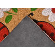 KOKOSMATTE 45/75 cm Mix Mats  - Hellbraun/Multicolor, Basics, Naturmaterialien/Kunststoff (45/75cm) - Esposa