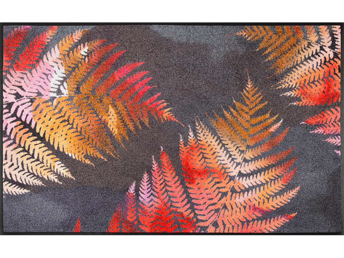 FUßMATTE  75/120 cm  Multicolor  - Multicolor, KONVENTIONELL, Kunststoff (75/120cm) - wash+dry